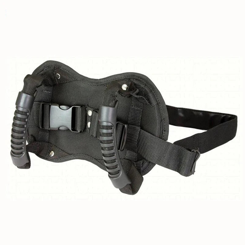 Motorcycle Passenger Safety Belt Handle