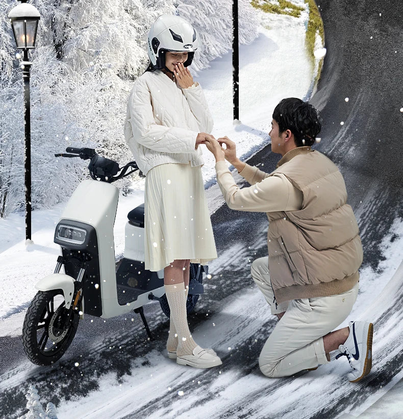 Winter Motorcycle Helmet