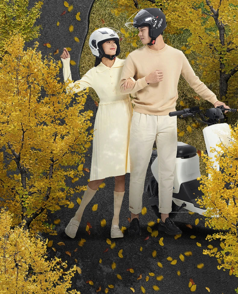 Winter Motorcycle Helmet