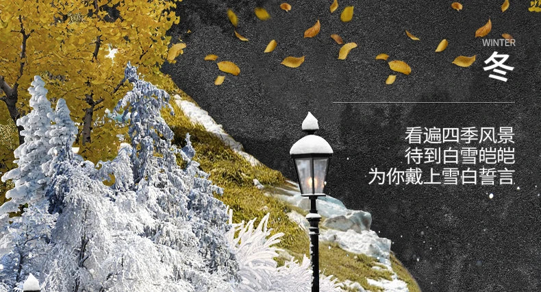 Winter Motorcycle Helmet
